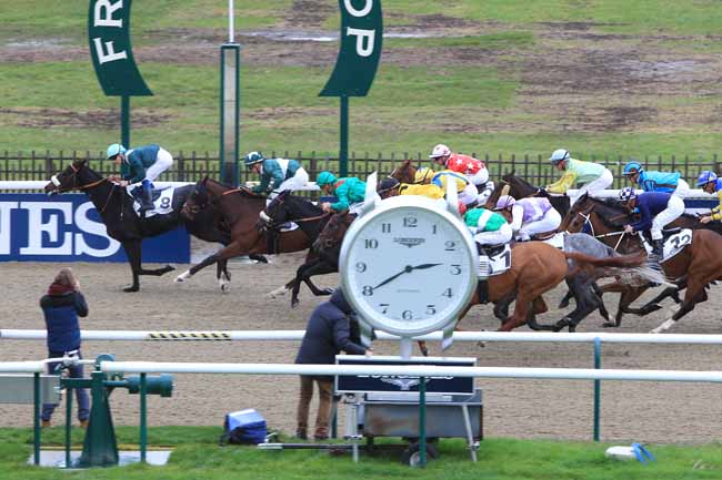 Photo d'arrivée de la course pmu PRIX DE LA BERGERIE à CHANTILLY le Mercredi 9 novembre 2016