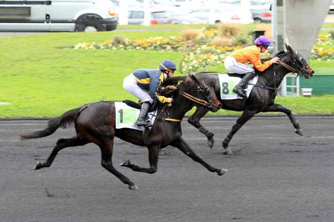 Photo d'arrivée de la course pmu PRIX OLRY-ROEDERER à PARIS-VINCENNES le Jeudi 10 novembre 2016