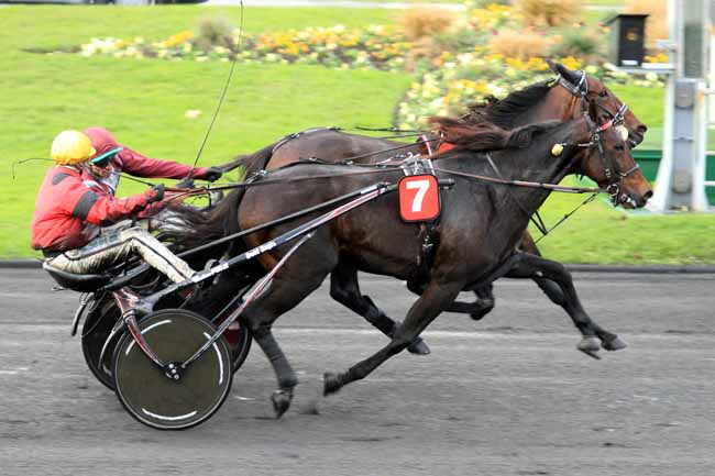 Photo d'arrivée de la course pmu PRIX MARCEL LAURENT à PARIS-VINCENNES le Jeudi 10 novembre 2016