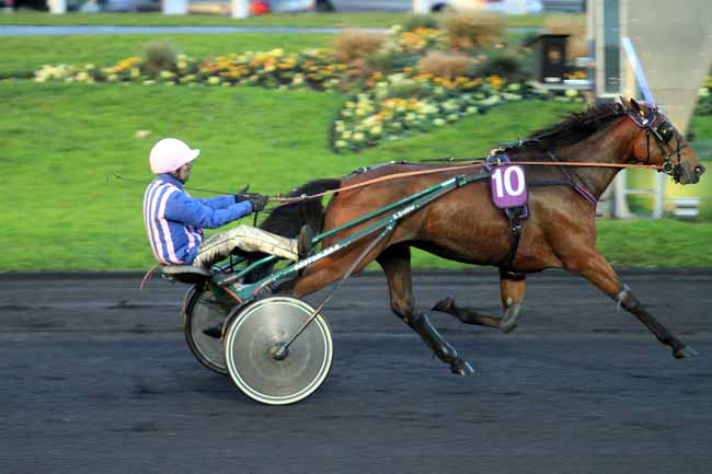 Photo d'arrivée de la course pmu PRIX DE RANVILLE (GR B) à PARIS-VINCENNES le Jeudi 10 novembre 2016