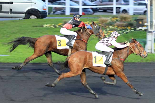 Photo d'arrivée de la course pmu PRIX DE SAVIGNY-SUR-BRAYE à PARIS-VINCENNES le Jeudi 10 novembre 2016