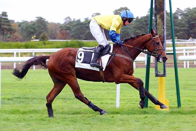 Photo d'arrivée de la course pmu PRIX DES GRANDS FEUILLARDS à FONTAINEBLEAU le Jeudi 10 novembre 2016