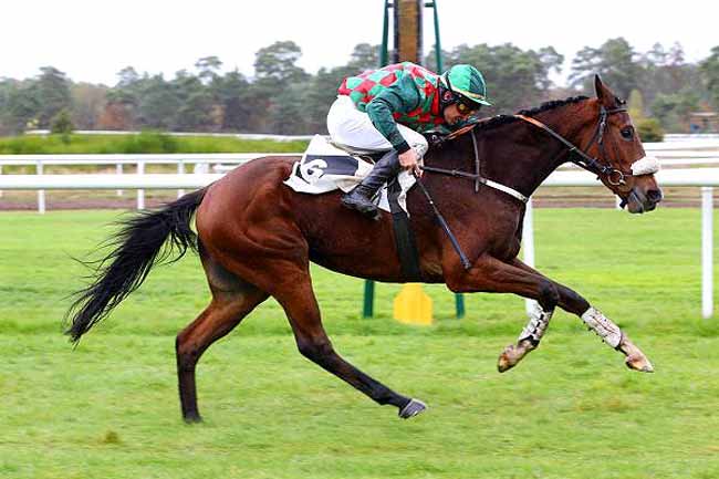 Photo d'arrivée de la course pmu PRIX DU GRAND PARQUET à FONTAINEBLEAU le Jeudi 10 novembre 2016