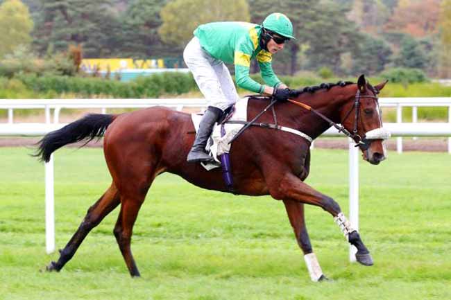 Photo d'arrivée de la course pmu PRIX DES GENETS à FONTAINEBLEAU le Jeudi 10 novembre 2016