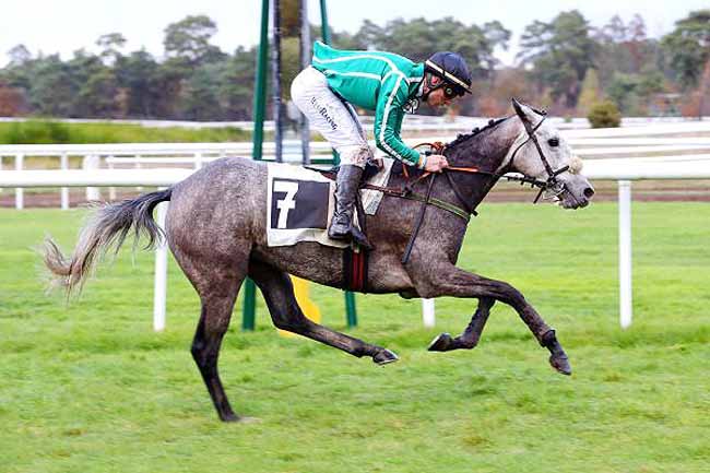 Photo d'arrivée de la course pmu PRIX DE LA TABLE DU ROI à FONTAINEBLEAU le Jeudi 10 novembre 2016