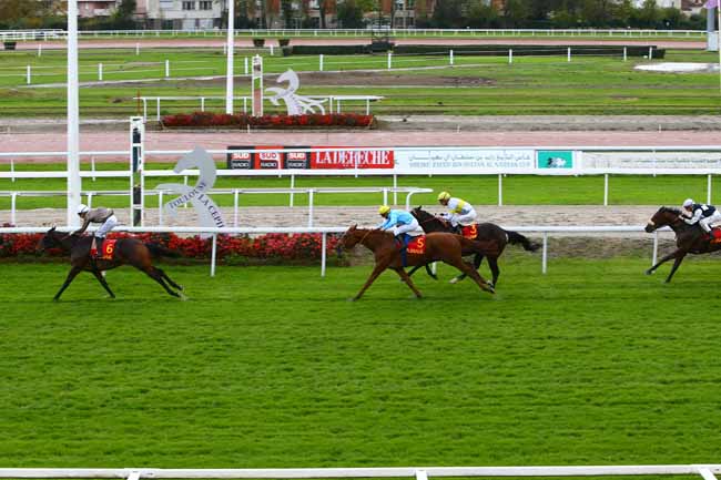 Photo d'arrivée de la course pmu CRITERIUM DU LANGUEDOC - PRIX BERNARD DE MARMIESSE à TOULOUSE le Vendredi 11 novembre 2016
