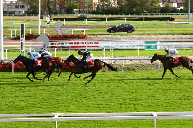 Photo d'arrivée de la course pmu PRIX DE LA VILLE DE TOULOUSE à TOULOUSE le Vendredi 11 novembre 2016