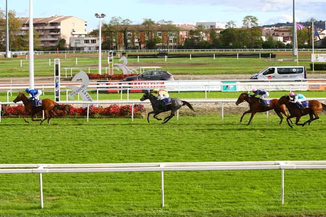 Photo d'arrivée de la course pmu PRIX FILLE DE L'AIR à TOULOUSE le Vendredi 11 novembre 2016