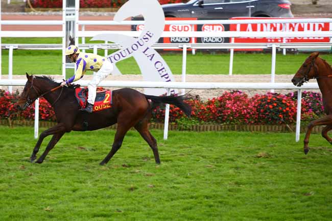 Photo d'arrivée de la course pmu GRAND NATIONAL DES ANGLO-ARABES A 12.5 % à TOULOUSE le Vendredi 11 novembre 2016
