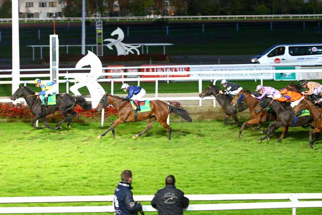 Photo d'arrivée de la course pmu RIXPI DU QUARTIER SAINT-CYPRIEN à TOULOUSE le Vendredi 11 novembre 2016