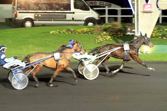 Photo d'arrivée de la course pmu PRIX CERES (GR B) à PARIS-VINCENNES le Vendredi 11 novembre 2016