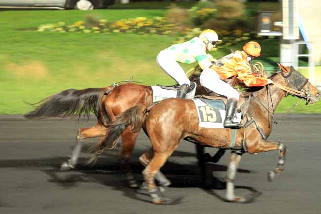 Photo d'arrivée de la course pmu PRIX MENKALINAN à PARIS-VINCENNES le Vendredi 11 novembre 2016
