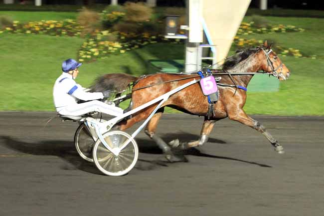 Photo d'arrivée de la course pmu PRIX CAMPANUS à PARIS-VINCENNES le Vendredi 11 novembre 2016