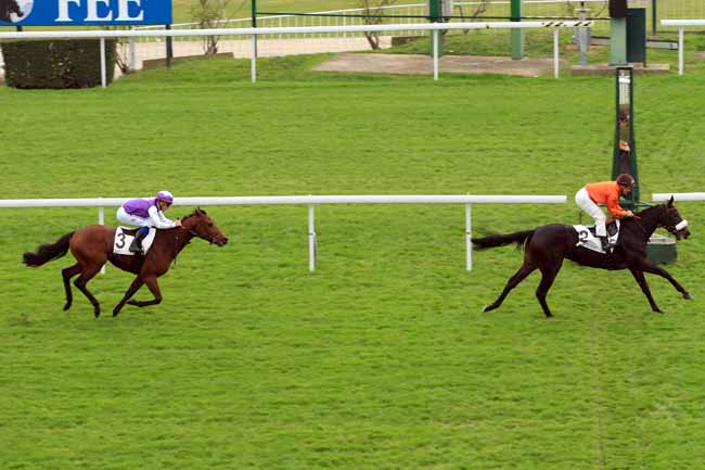 Photo d'arrivée de la course pmu PRIX BORAX à SAINT-CLOUD le Samedi 12 novembre 2016
