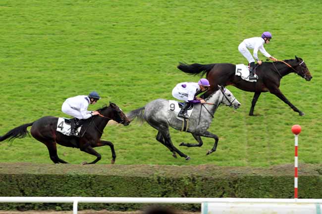 Photo d'arrivée de la course pmu PRIX DE LA VALLEE DE CHEVREUSE à SAINT-CLOUD le Samedi 12 novembre 2016