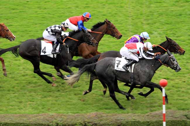 Photo d'arrivée de la course pmu PRIX LOISIR à SAINT-CLOUD le Samedi 12 novembre 2016