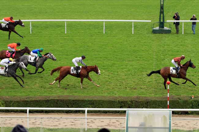 Photo d'arrivée de la course pmu GRAND HANDICAP DE L'ELEVAGE à SAINT-CLOUD le Samedi 12 novembre 2016
