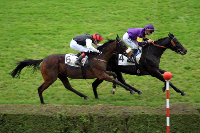 Photo d'arrivée de la course pmu PRIX DENISY à SAINT-CLOUD le Samedi 12 novembre 2016