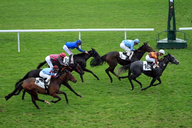 Photo d'arrivée de la course pmu PRIX DE LA CHATAIGNERAIE à SAINT-CLOUD le Samedi 12 novembre 2016
