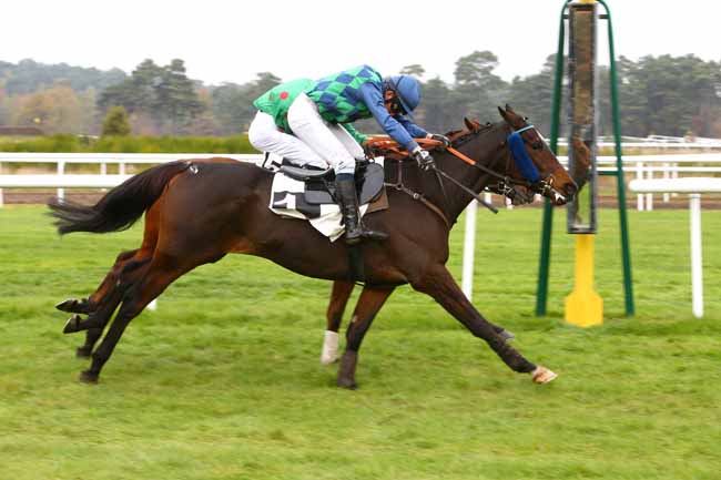 Photo d'arrivée de la course pmu PRIX DE BEAUCE à FONTAINEBLEAU le Samedi 12 novembre 2016