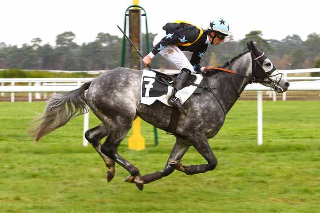 Photo d'arrivée de la course pmu PRIX CHOUTE à FONTAINEBLEAU le Samedi 12 novembre 2016