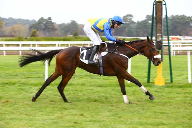 Photo d'arrivée de la course pmu GRAND STEEPLE-CHASE - CROSS-COUNTRY DE COMPIEGNE à FONTAINEBLEAU le Samedi 12 novembre 2016