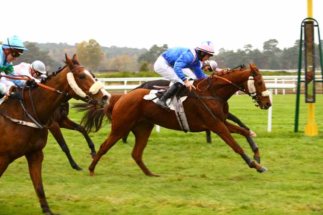 Photo d'arrivée de la course pmu PRIX DU VALOIS à FONTAINEBLEAU le Samedi 12 novembre 2016