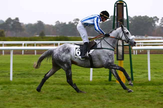 Photo d'arrivée de la course pmu PRIX AL CAPONE II - BERNARD SECLY à FONTAINEBLEAU le Samedi 12 novembre 2016