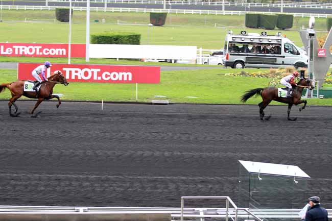 Photo d'arrivée de la course pmu PRIX LOUIS TILLAYE à PARIS-VINCENNES le Lundi 14 novembre 2016