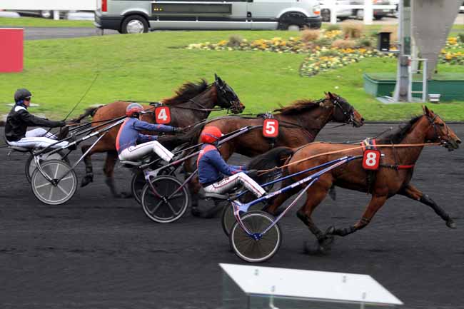Photo d'arrivée de la course pmu PRIX DE BACQUEVILLE à PARIS-VINCENNES le Lundi 14 novembre 2016