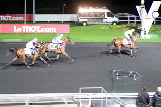 Photo d'arrivée de la course pmu PRIX D'ARGENTAN à PARIS-VINCENNES le Lundi 14 novembre 2016