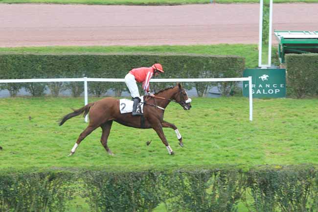 Photo d'arrivée de la course pmu PRIX AGENOIS à ENGHIEN le Lundi 14 novembre 2016