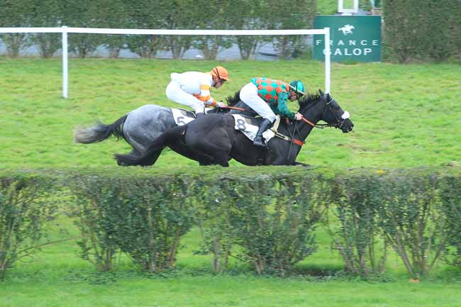 Photo d'arrivée de la course pmu PRIX SPERANZA à ENGHIEN le Lundi 14 novembre 2016