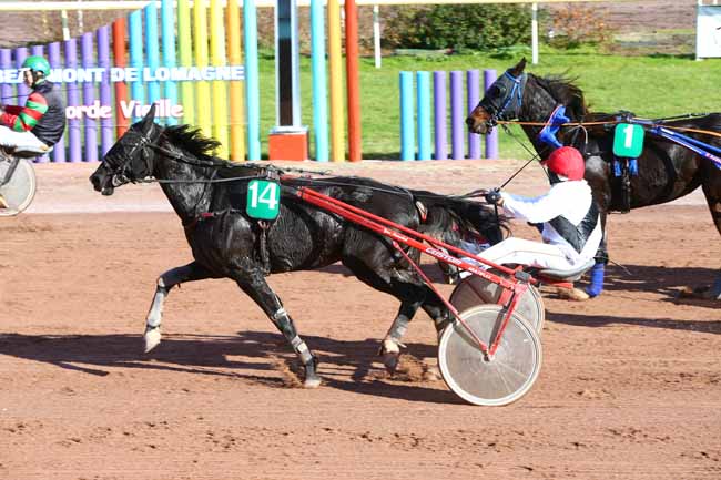 Photo d'arrivée de la course pmu PRIX DE LA RIVERETTE à BEAUMONT-DE-LOMAGNE le Mardi 15 novembre 2016