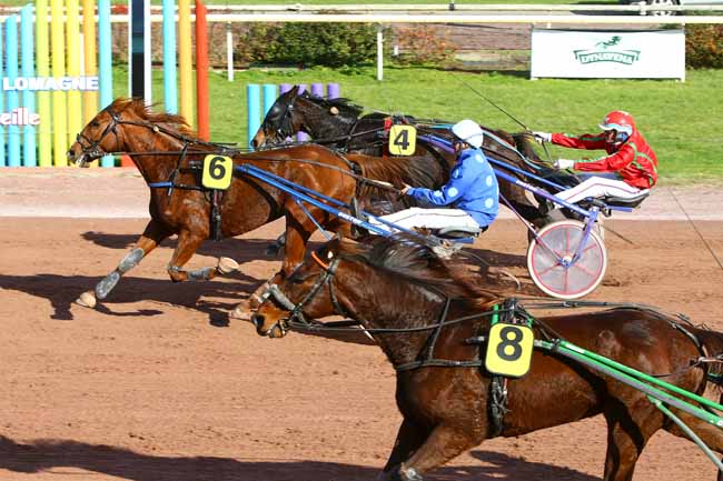 Photo d'arrivée de la course pmu PRIX ALBERT SUIS à BEAUMONT-DE-LOMAGNE le Mardi 15 novembre 2016