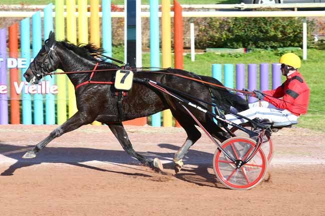 Photo d'arrivée de la course pmu PRIX JEAN DUMOUCH à BEAUMONT-DE-LOMAGNE le Mardi 15 novembre 2016
