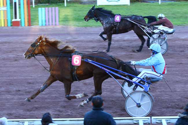 Photo d'arrivée de la course pmu PRIX MAX DAGUZAN GARROS (GR B) à BEAUMONT-DE-LOMAGNE le Mardi 15 novembre 2016