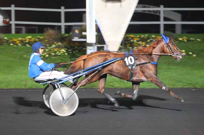 Photo d'arrivée de la course pmu PRIX LAETITIA à PARIS-VINCENNES le Mardi 15 novembre 2016