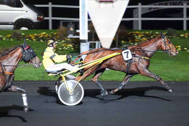 Photo d'arrivée de la course pmu PRIX MEBSUTA à PARIS-VINCENNES le Mardi 15 novembre 2016