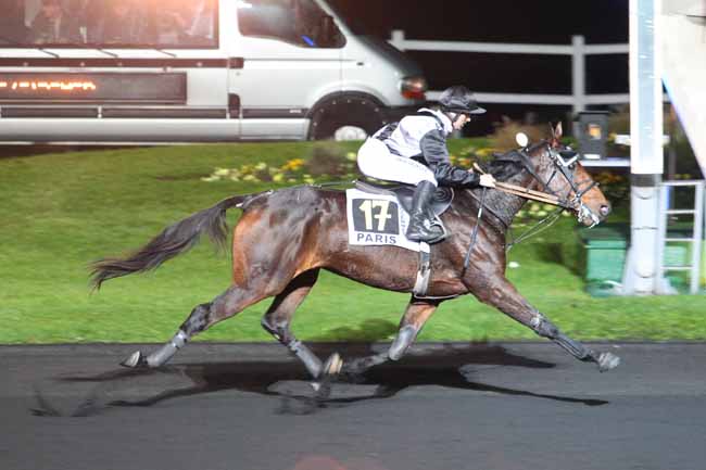 Photo d'arrivée de la course pmu PRIX FRIZZA à PARIS-VINCENNES le Mardi 15 novembre 2016