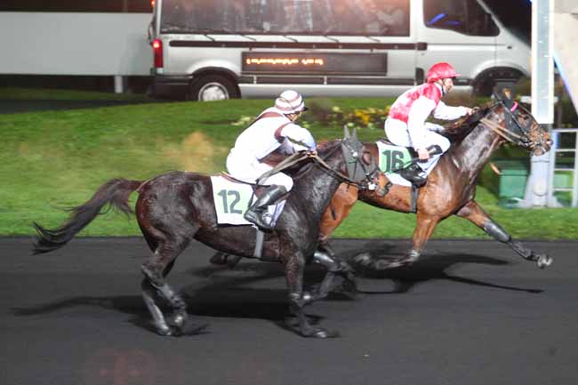 Photo d'arrivée de la course pmu PRIX PSYCHE à PARIS-VINCENNES le Mardi 15 novembre 2016