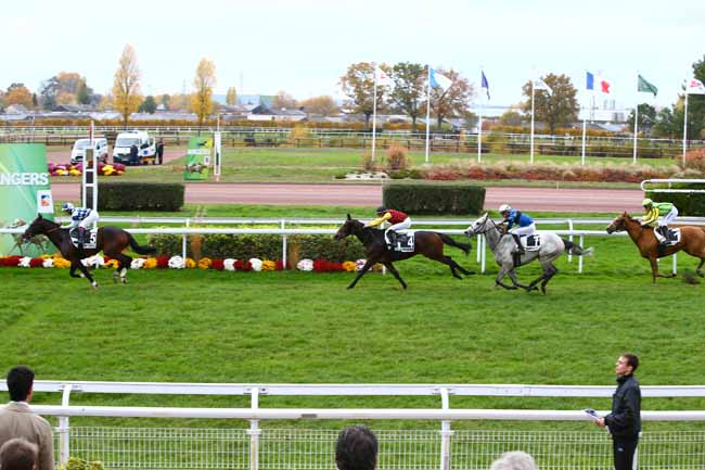 Photo d'arrivée de la course pmu PRIX GEORGES CADIOU à ANGERS le Mercredi 16 novembre 2016