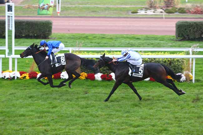 Photo d'arrivée de la course pmu GRAND PRIX D'ANGERS à ANGERS le Mercredi 16 novembre 2016
