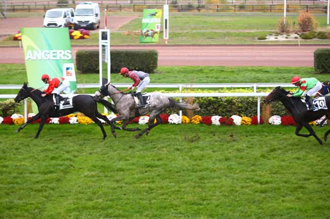 Photo d'arrivée de la course pmu PRIX DAVID D'ANGERS à ANGERS le Mercredi 16 novembre 2016