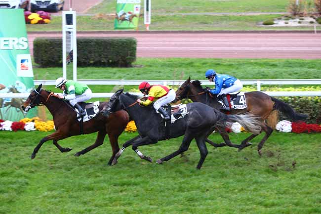 Photo d'arrivée de la course pmu PRIX PLANTAGENET à ANGERS le Mercredi 16 novembre 2016