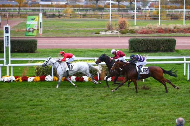 Photo d'arrivée de la course pmu PRIX DE L'ILE SAINT-AUBIN à ANGERS le Mercredi 16 novembre 2016