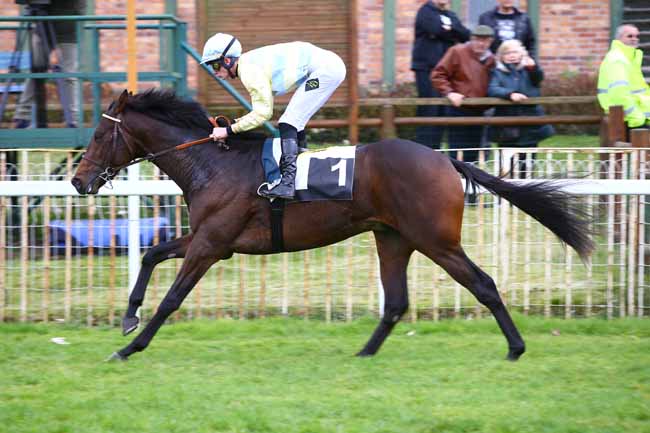 Photo d'arrivée de la course pmu PRIX DE LA SAPINIERE à FONTAINEBLEAU le Jeudi 17 novembre 2016