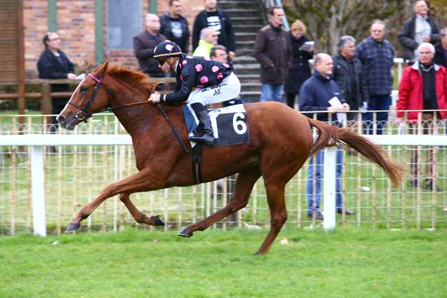 Photo d'arrivée de la course pmu PRIX DE LA PINEDE à FONTAINEBLEAU le Jeudi 17 novembre 2016