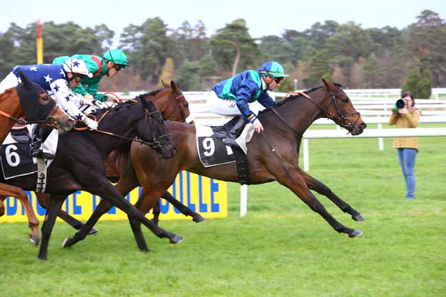 Photo d'arrivée de la course pmu PRIX CERES à FONTAINEBLEAU le Jeudi 17 novembre 2016