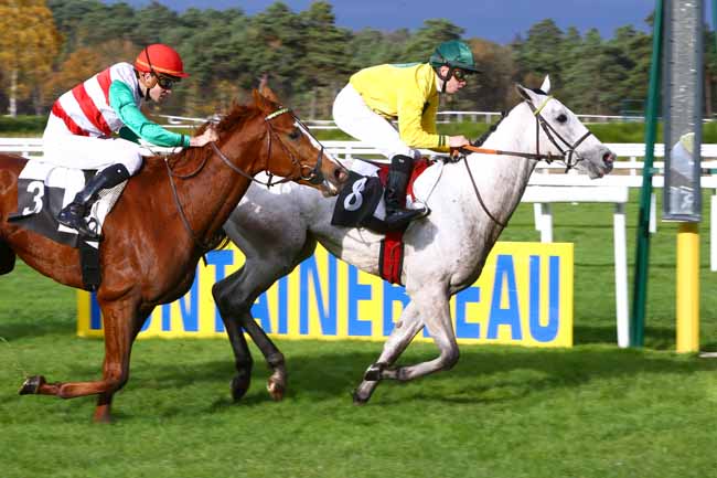 Photo d'arrivée de la course pmu PRIX DU COMITE DEPARTEMENTAL DU TOURISME DE SEINE ET MARNE à FONTAINEBLEAU le Jeudi 17 novembre 2016